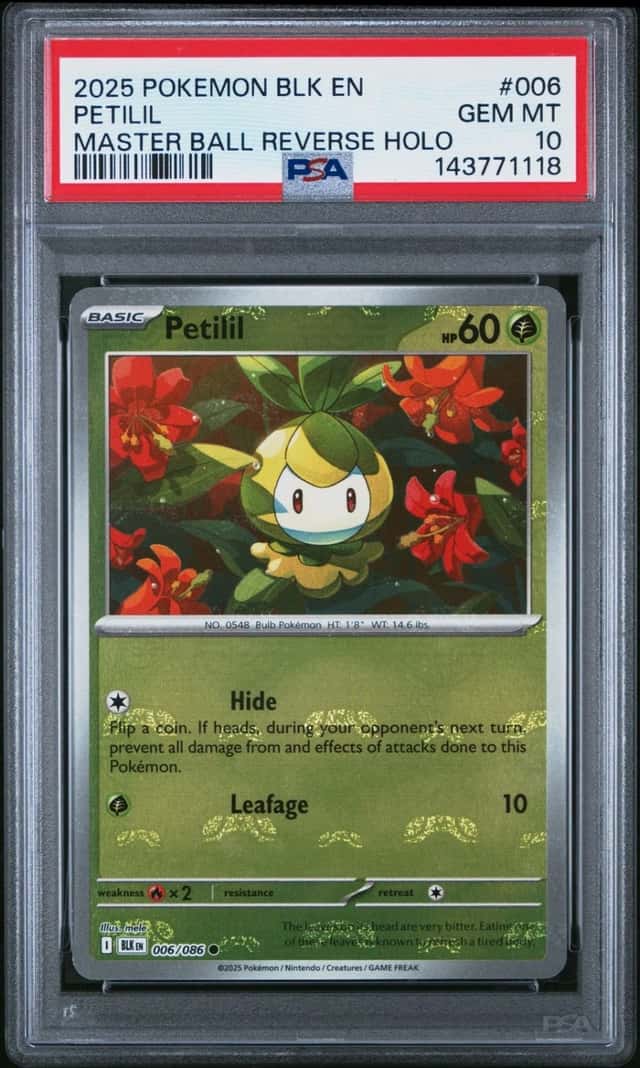 Petilil