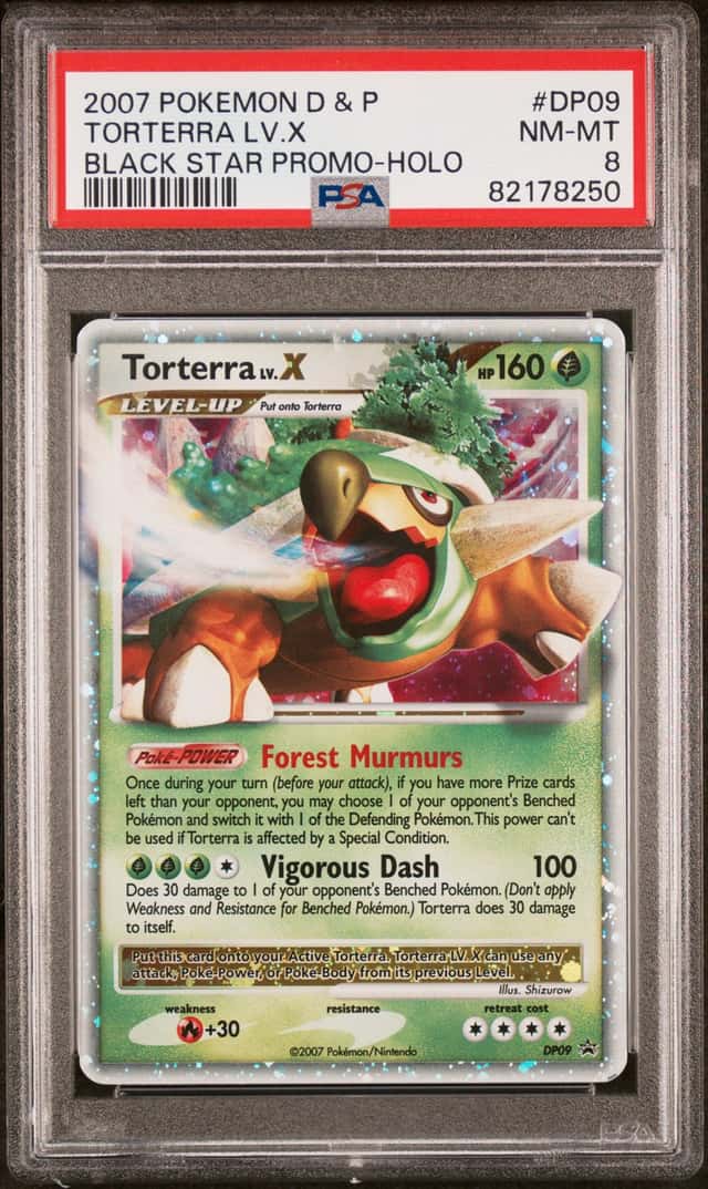 TORTERRA LV.X