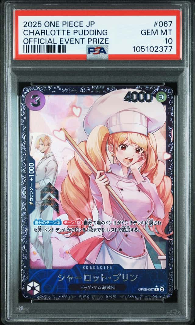 Charlotte Pudding