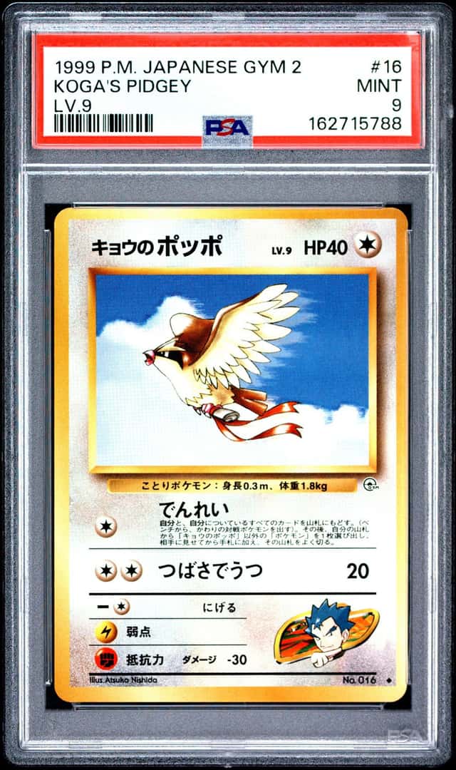 Koga's Pidgey