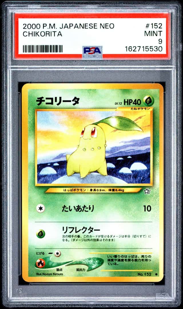 Chikorita
