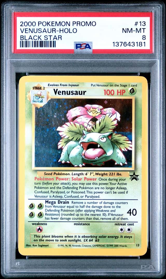137643181 Venusaur 2000 Pokemon WOTC Black Star Promo #13 Holo PSA 8