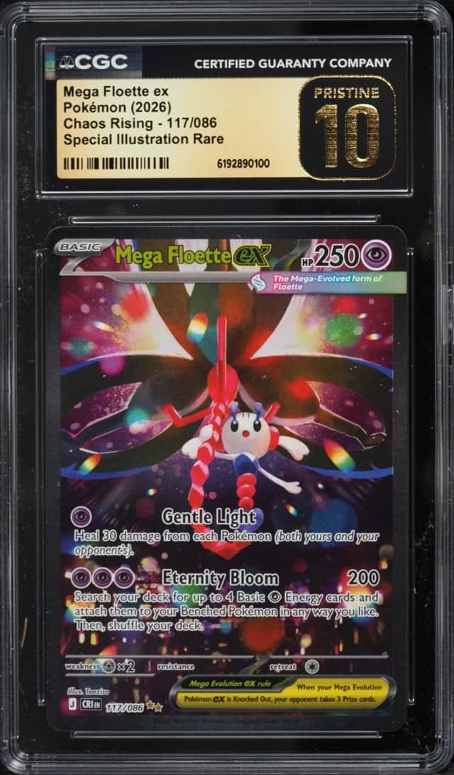 MEGA FLOETTE ex