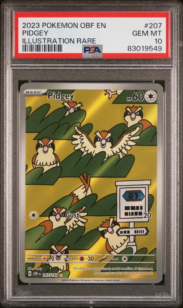 Pidgey