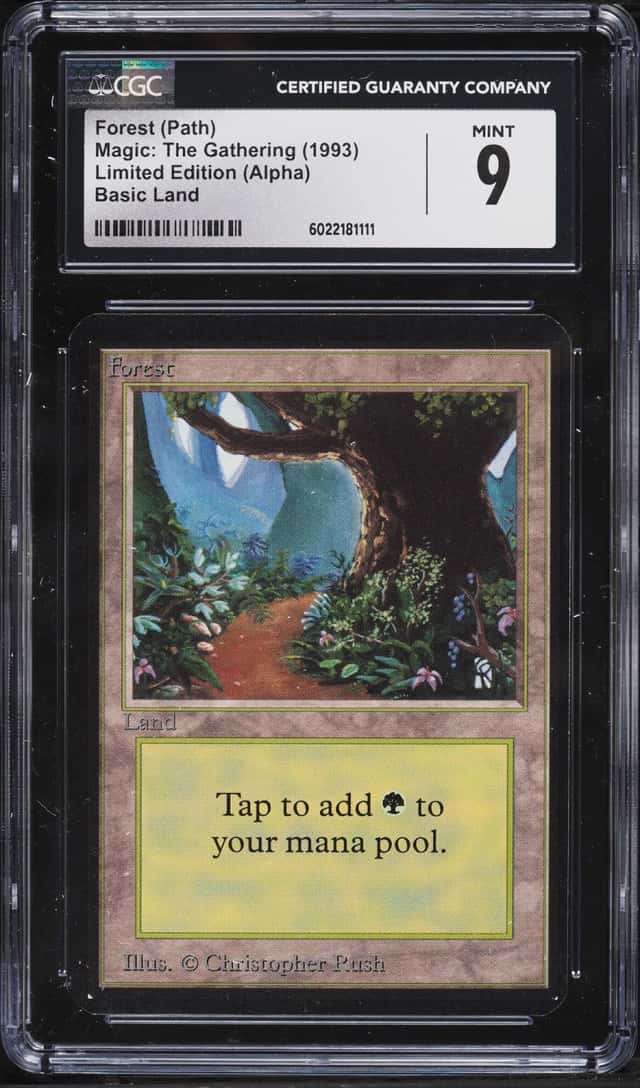 Forest (Path)