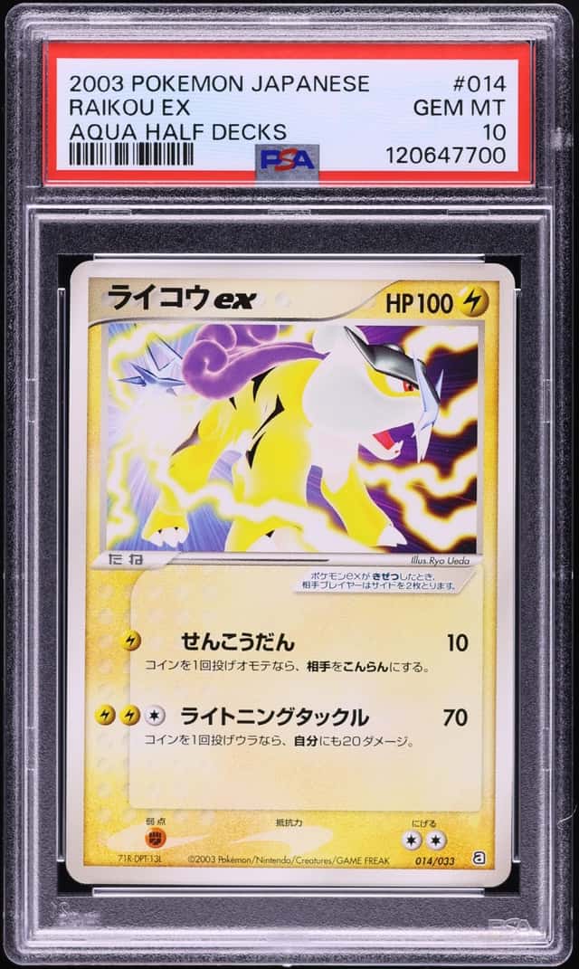Raikou EX
