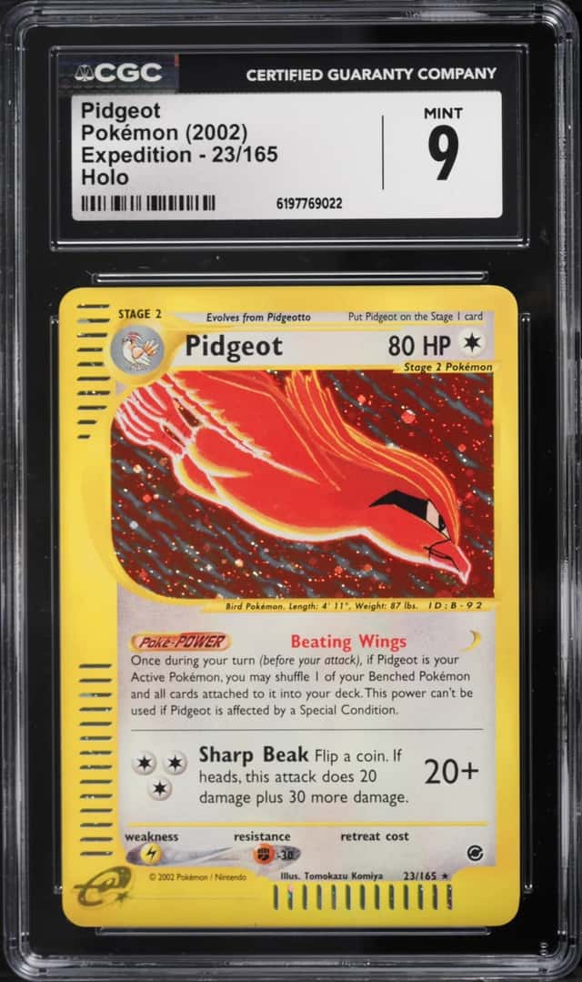 Pidgeot