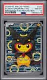 Poncho-Wearing Pikachu