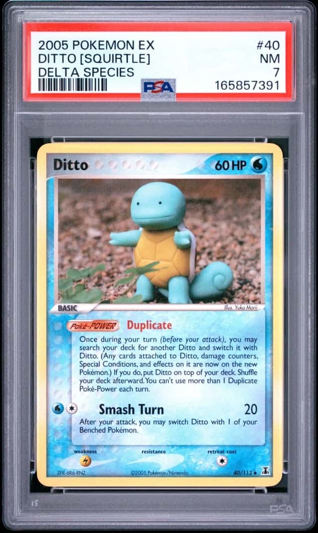 Ditto [Squirtle]