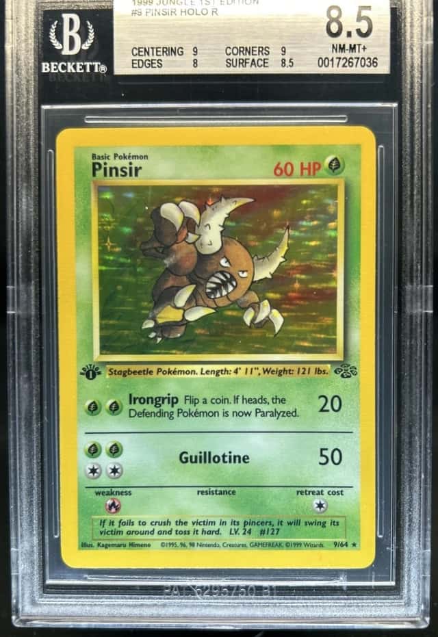 Pinsir