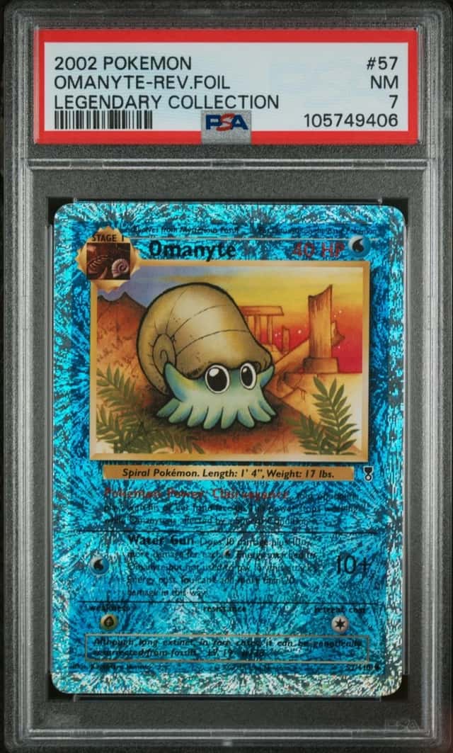 Omanyte