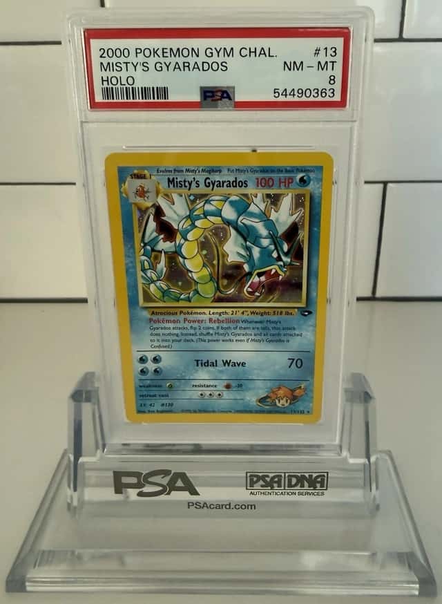 Misty's Gyarados