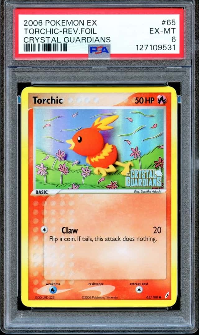 Torchic