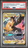 Pikachu & Zekrom Gx