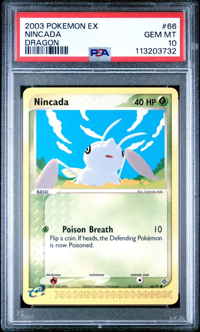 Nincada