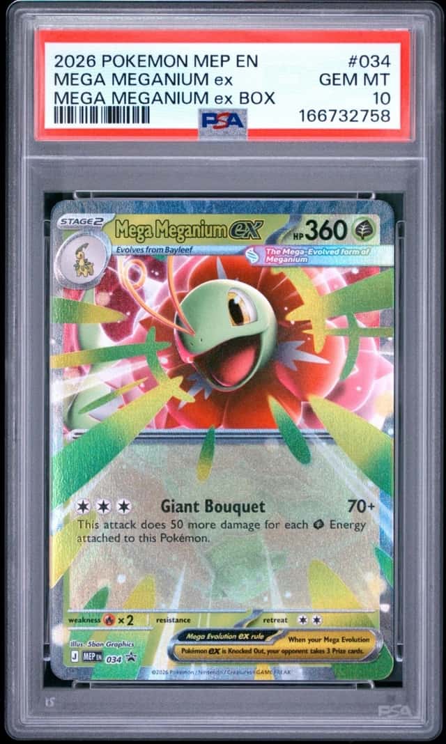 MEGA MEGANIUM ex