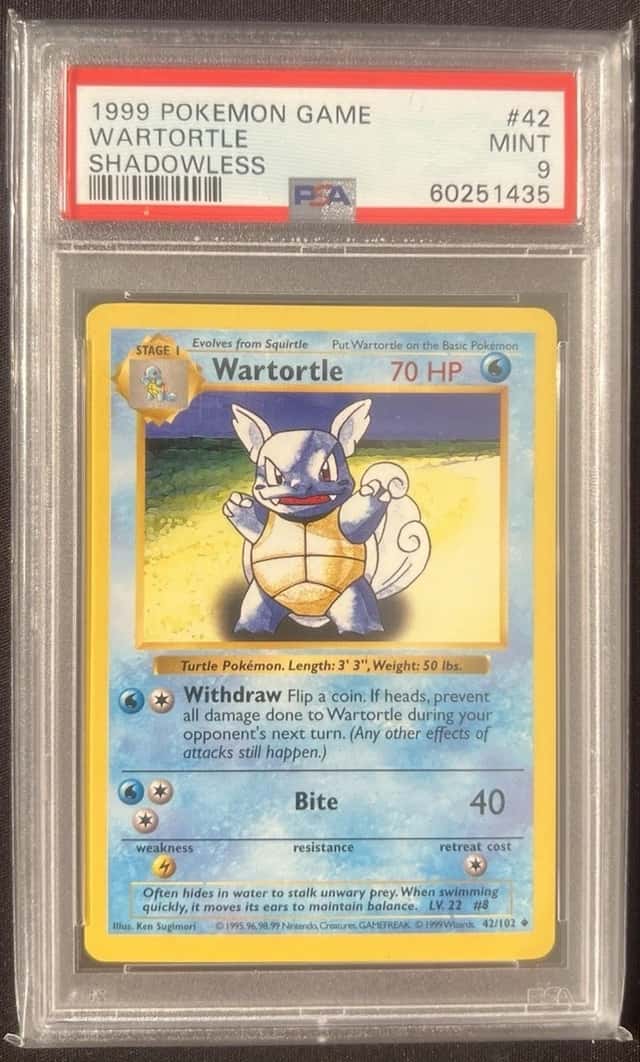Wartortle