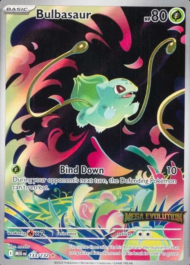 Box Topper