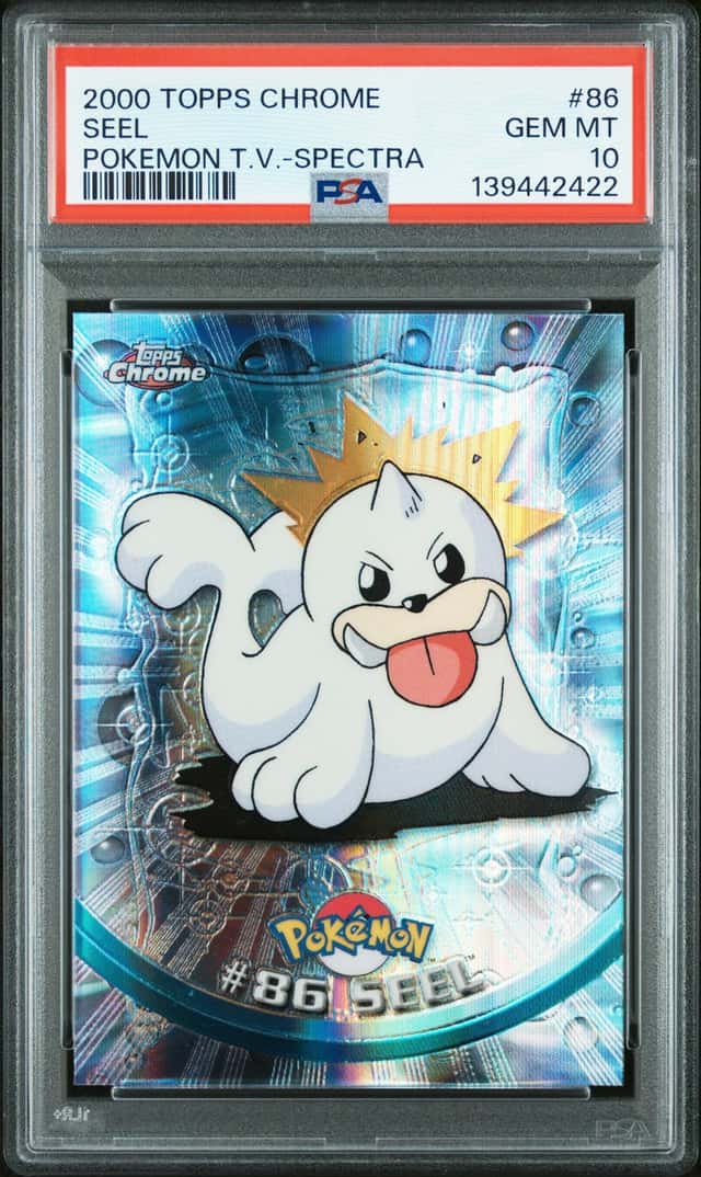 Seel