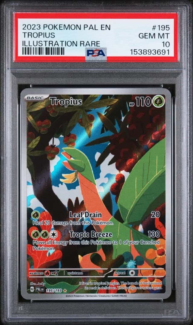 Tropius