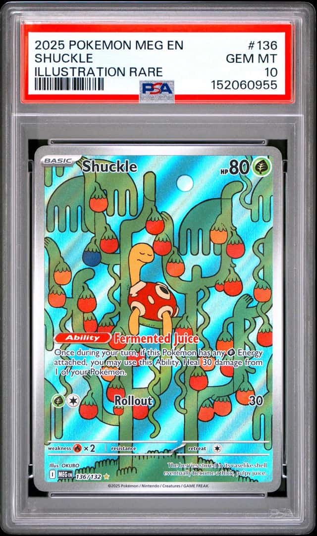 Shuckle