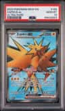 Zapdos Ex