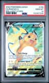 Raichu V