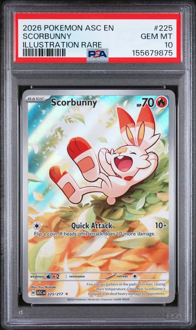 Scorbunny