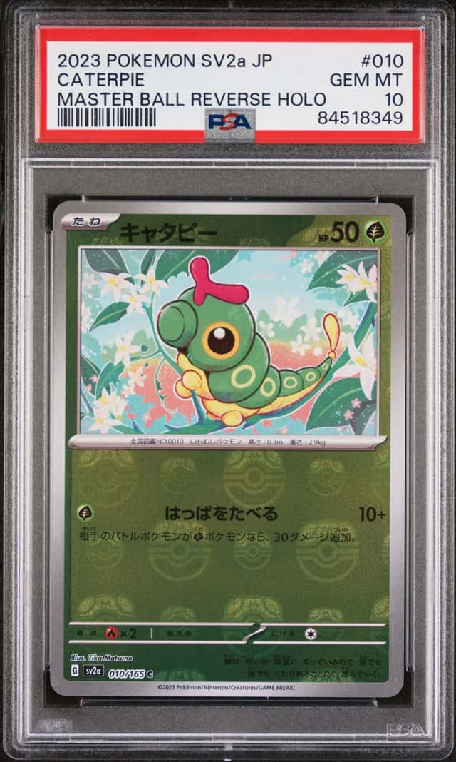 Caterpie