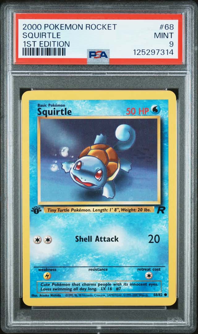 Squirtle