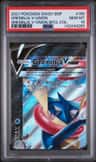 Greninja V-Union