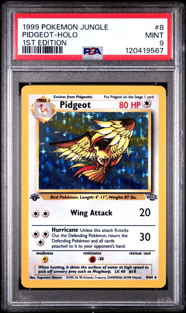 Pidgeot
