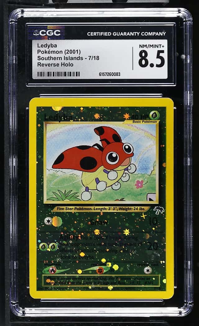 Ledyba