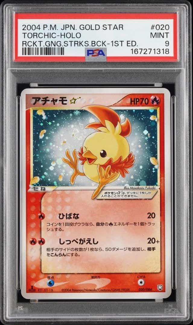 Torchic
