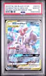 Mewtwo & Mew Gx
