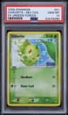 Chikorita
