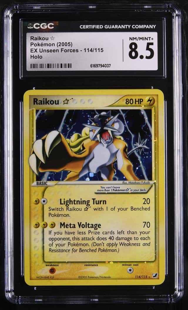 Raikou