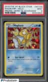 Magikarp
