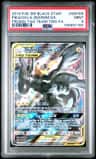 Pikachu & Zekrom Gx