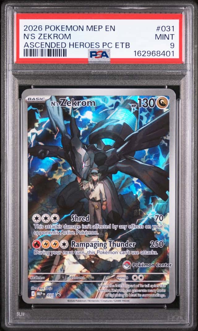 N's Zekrom