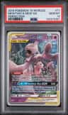 Mewtwo & Mew Gx