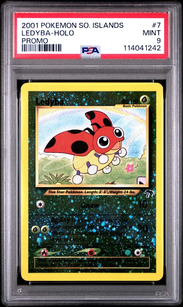 Ledyba