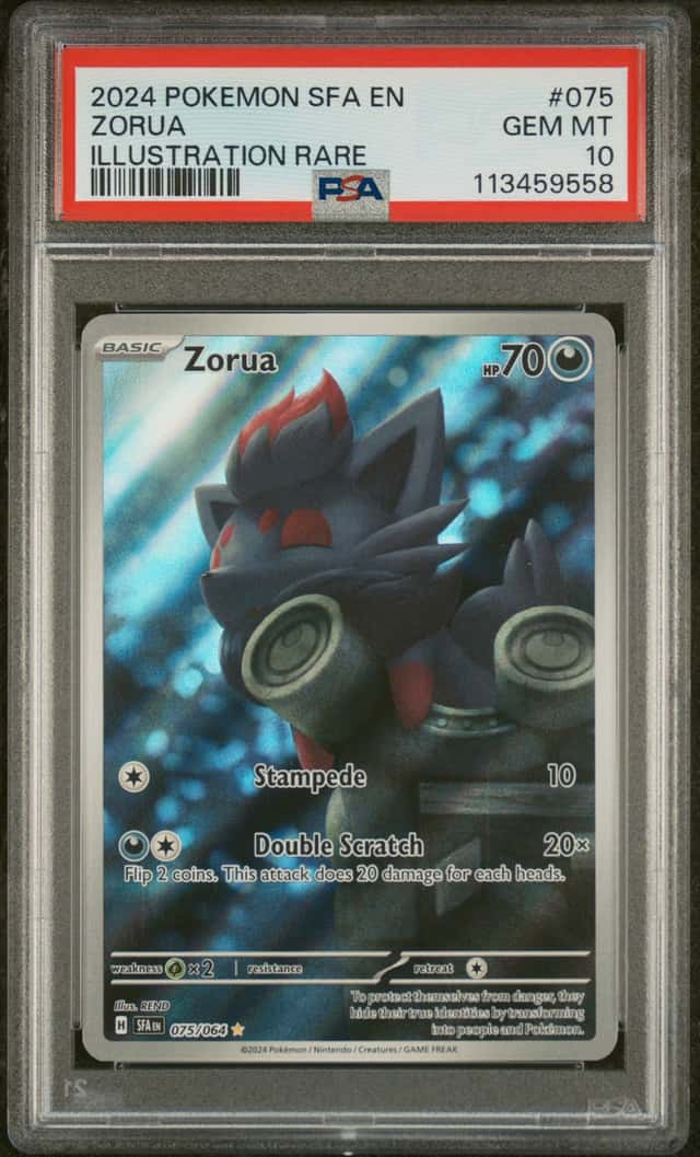 Zorua