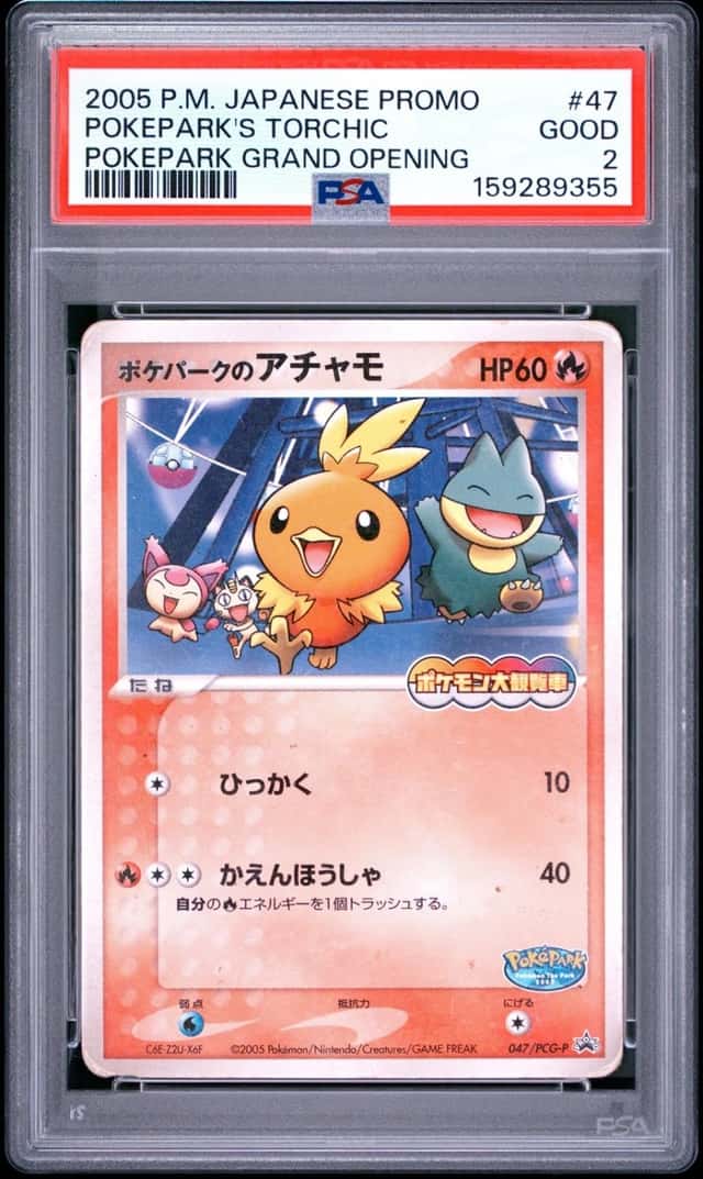 Pokepark's Torchic