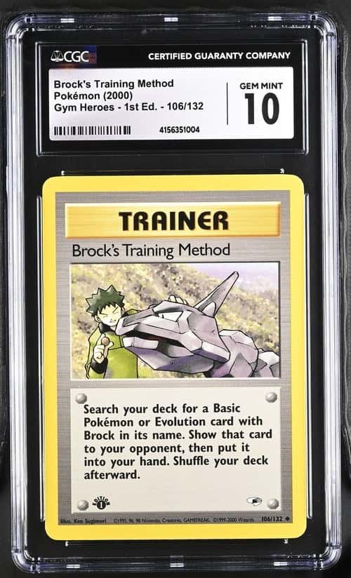 Brock's Training