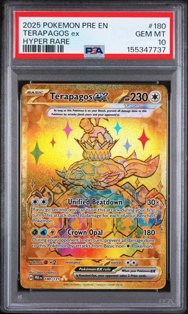 TERAPAGOS ex