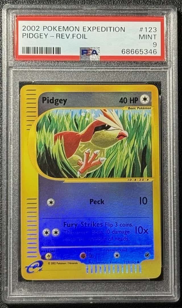 Pidgey