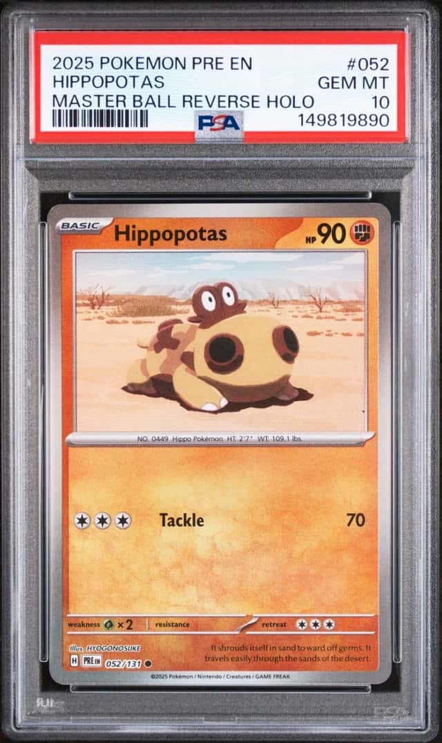 Hippopotas