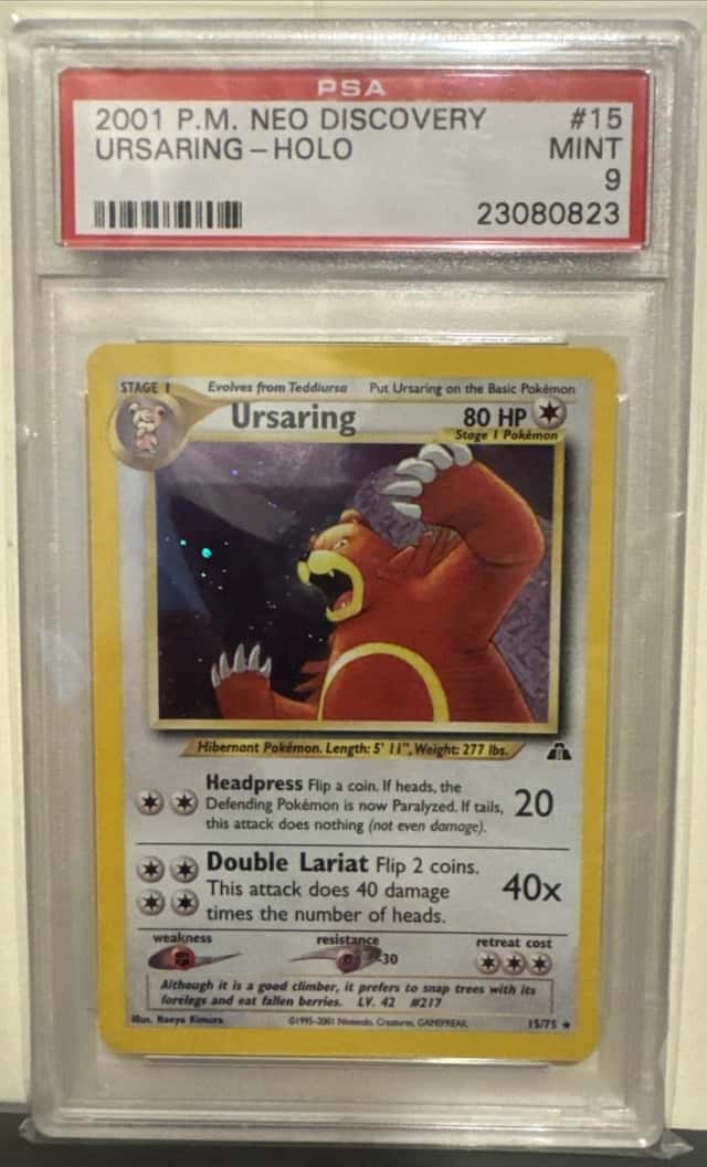 Ursaring