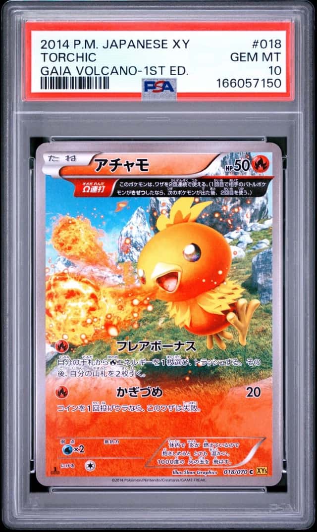 Torchic